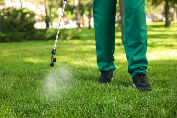 Wildlife Control Services in Western Springs, IL